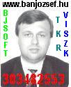 BJ.hu - C�GIR�NY�T�S, V�llalatir�ny�t�s szinte ingyen �s majdnem azonnal !!!
