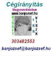 banjozsef.hu - TKR CGIRNYTS, Vllalatirnyts szinte ingyen s majdnem azonnal !!!