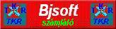 bjsoft.eu - CÉGIRÁNYÍTÁS, Vállalatirányítás szinte ingyen és majdnem azonnal !!!