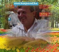 BJ.hu - CGIRNYTS, Vllalatirnyts szinte ingyen s majdnem azonnal !!!